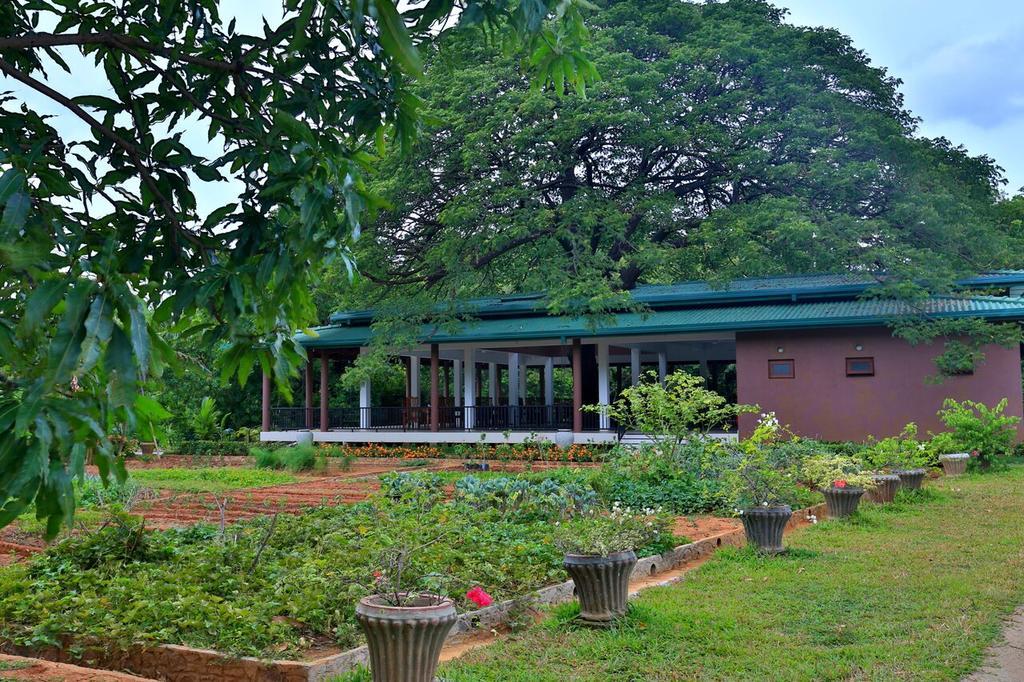 Hotel Grand & Gangula à Dambulla Extérieur photo
