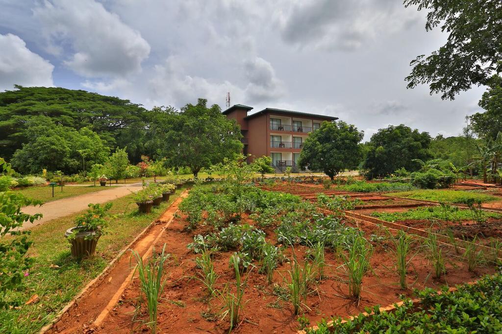 Hotel Grand & Gangula à Dambulla Extérieur photo