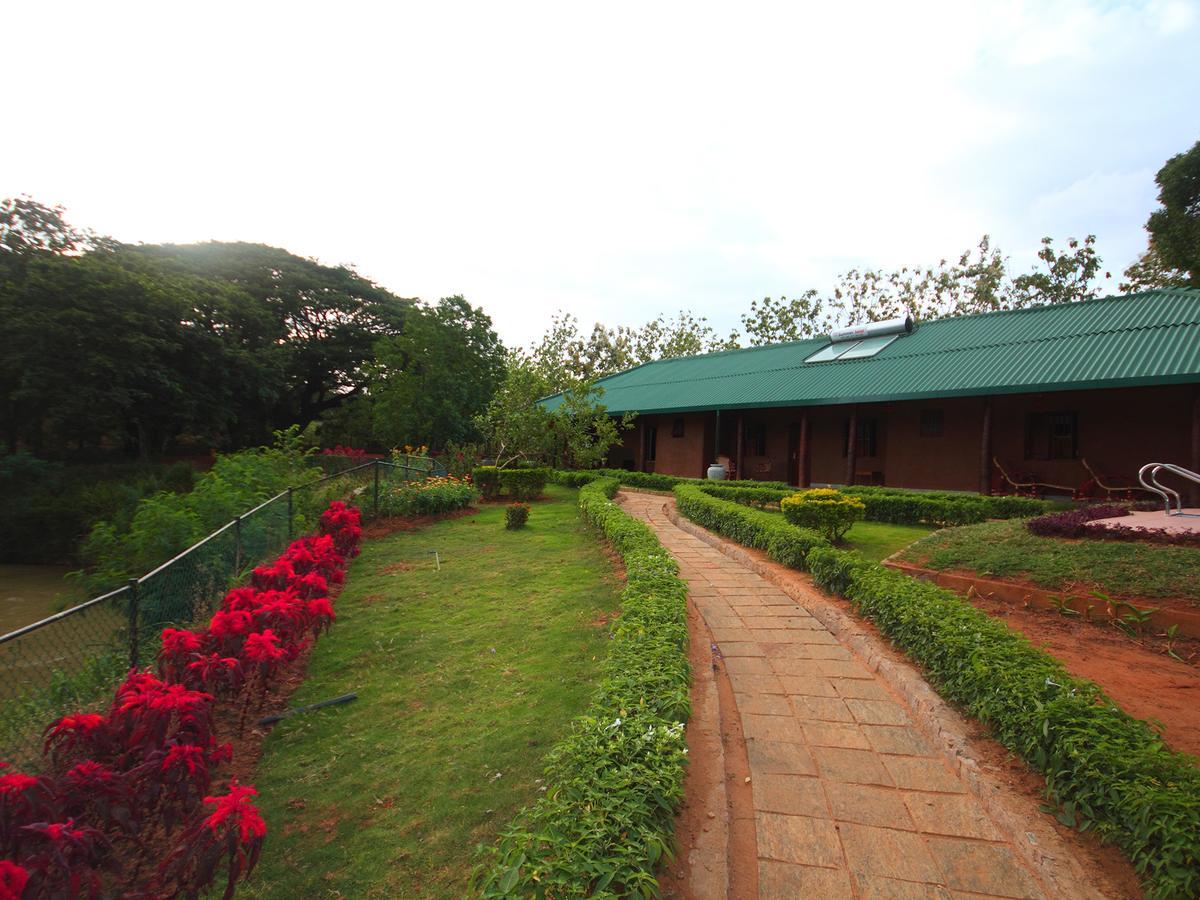 Hotel Grand & Gangula à Dambulla Extérieur photo