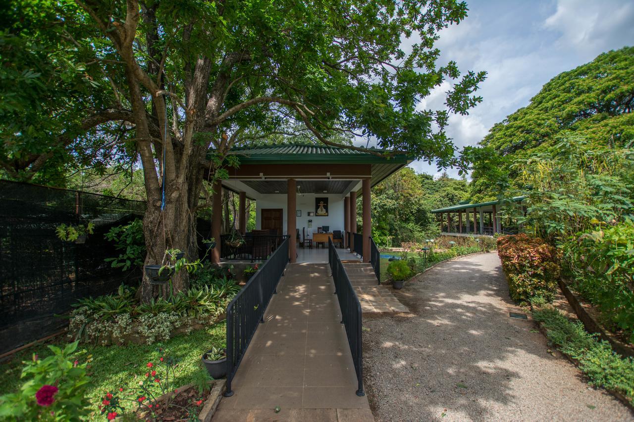Hotel Grand & Gangula à Dambulla Extérieur photo