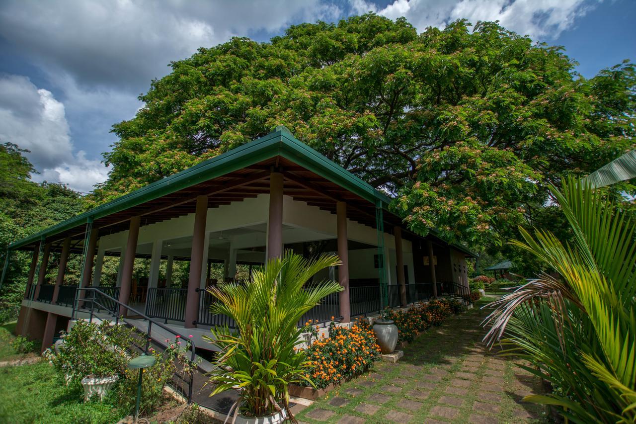 Hotel Grand & Gangula à Dambulla Extérieur photo