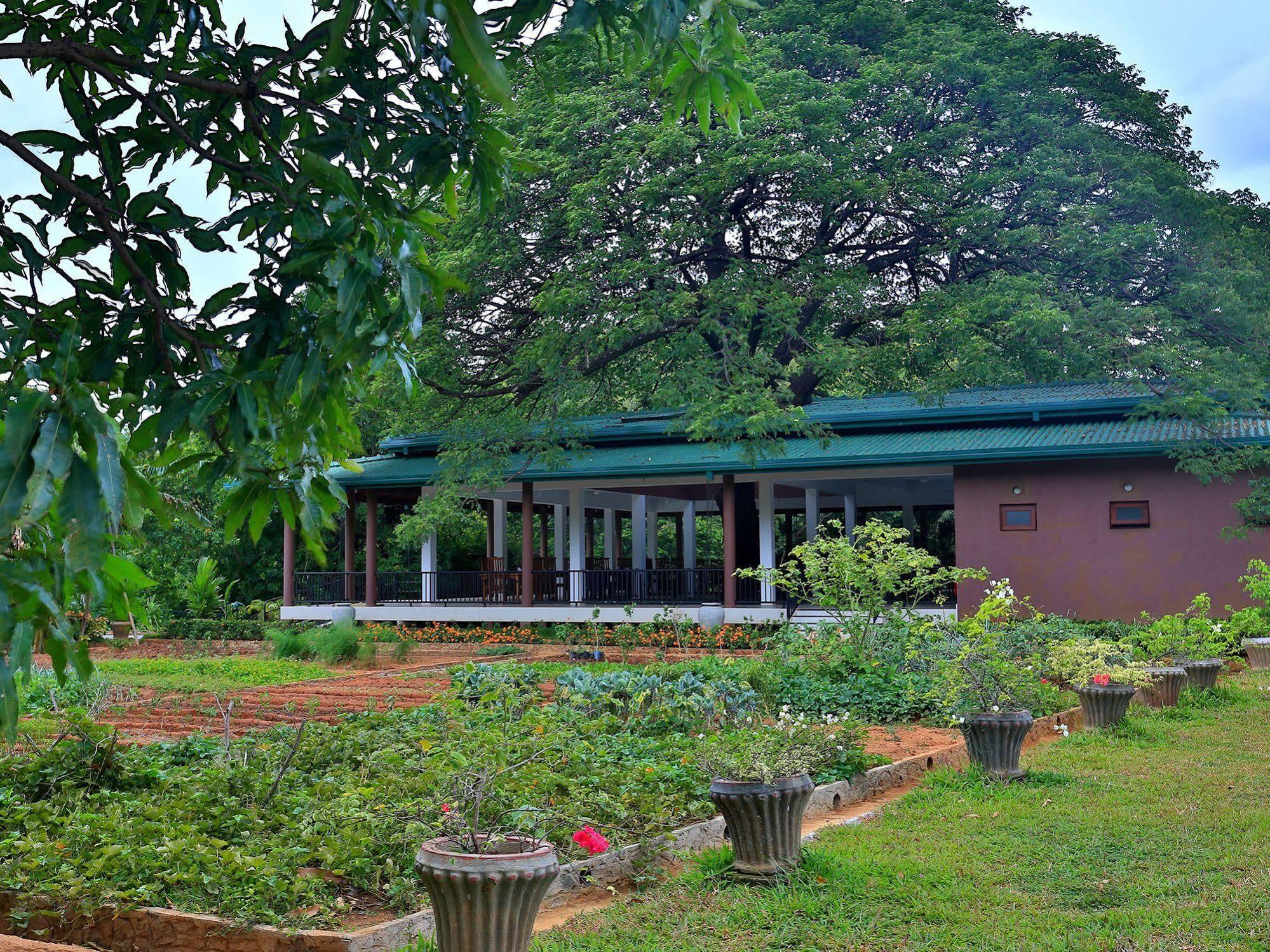 Hotel Grand & Gangula à Dambulla Extérieur photo