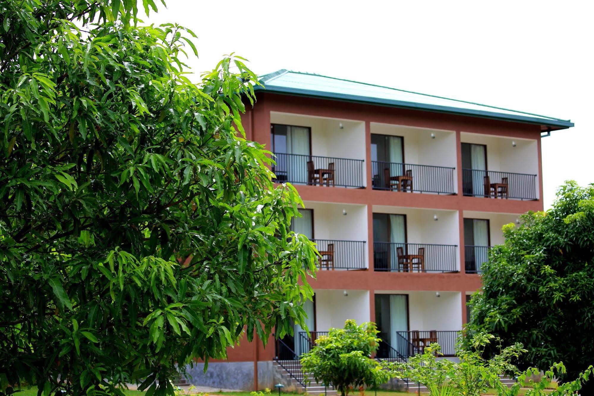 Hotel Grand & Gangula à Dambulla Extérieur photo