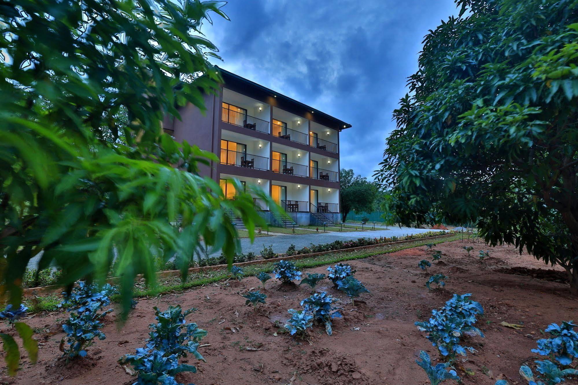 Hotel Grand & Gangula à Dambulla Extérieur photo