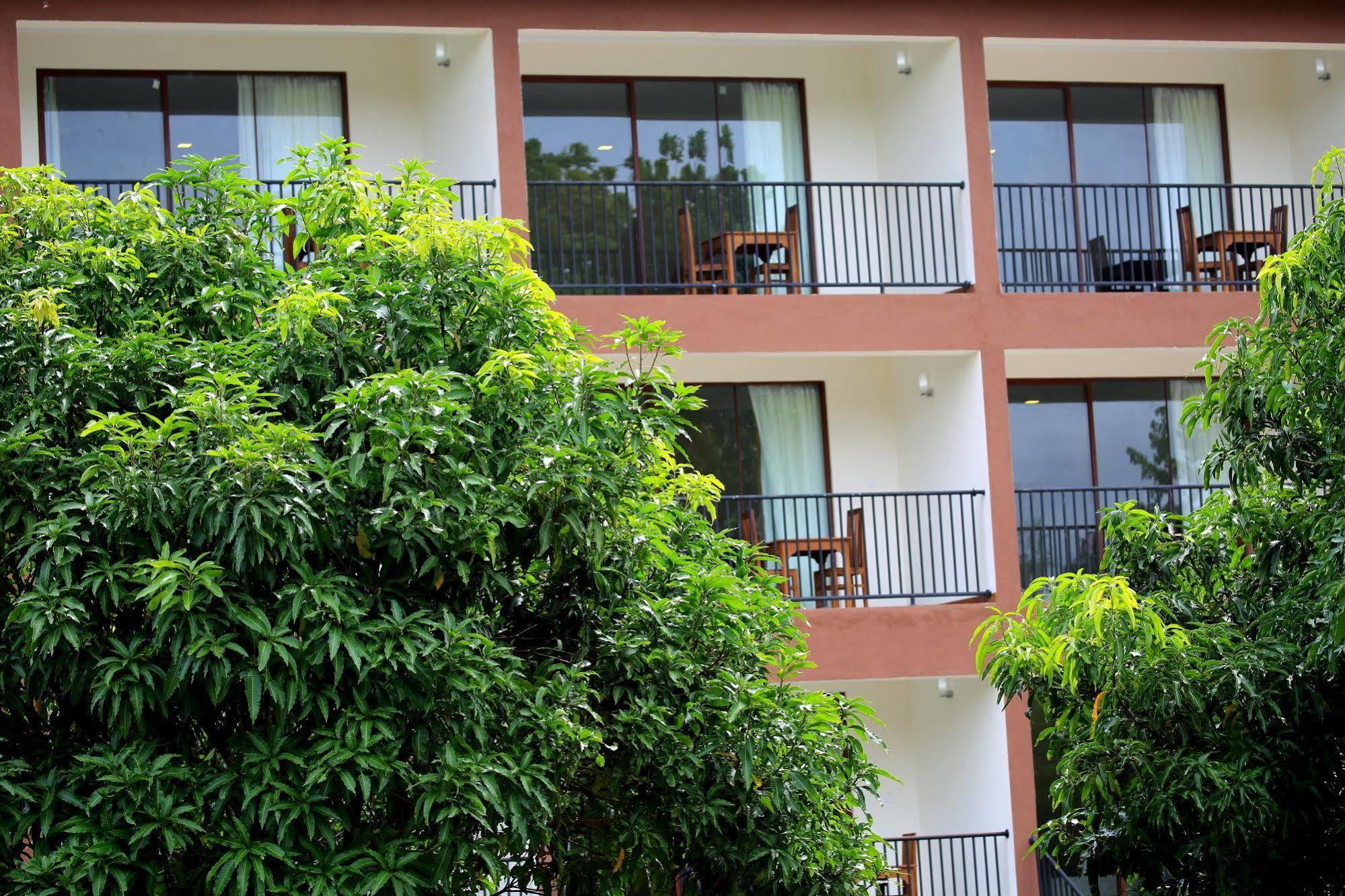 Hotel Grand & Gangula à Dambulla Extérieur photo